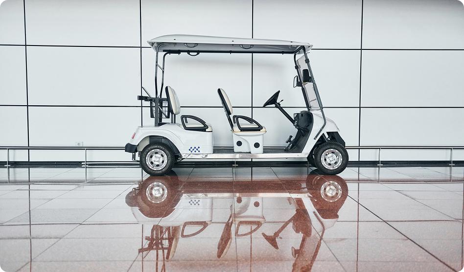 Buggy services at the airport main image