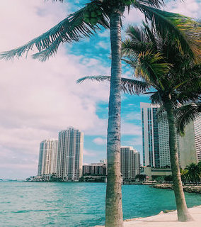 Miami - Miami International photo